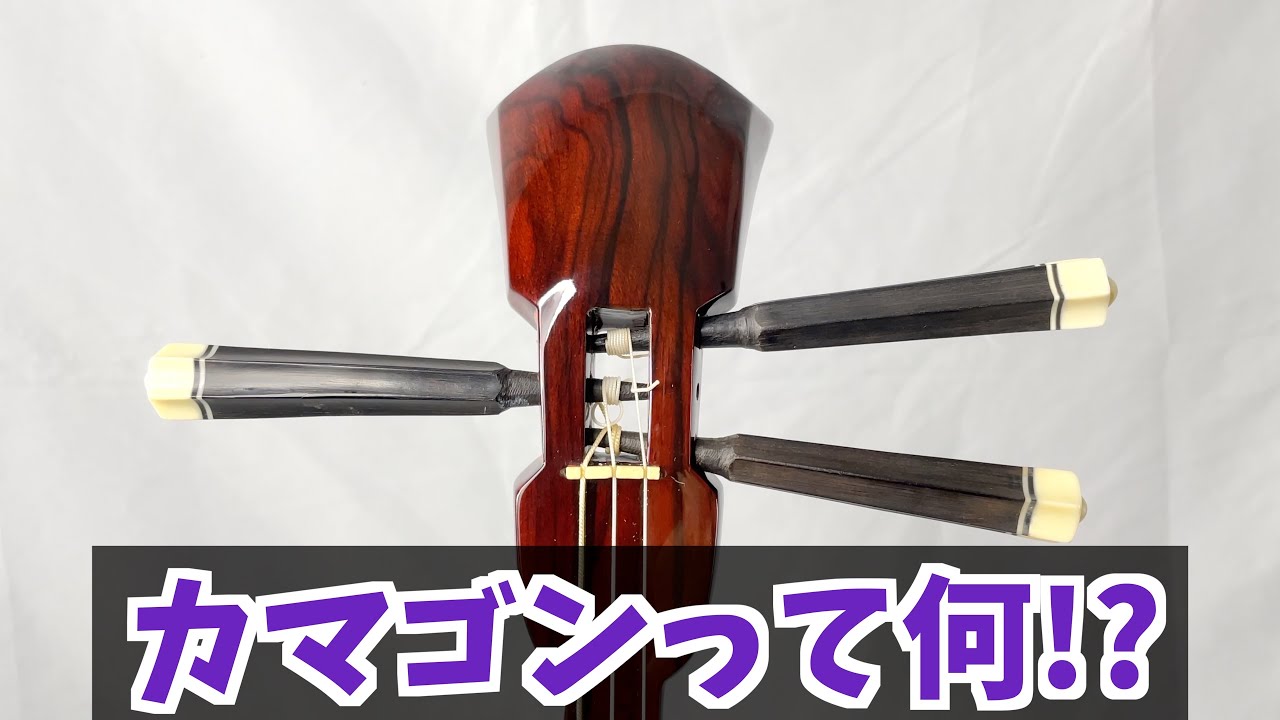 カマゴンと縞黒檀について解説します【三線】 - YouTube