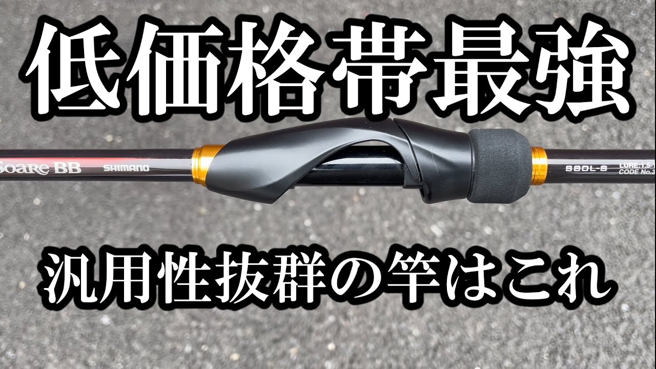 Introducing a versatile and affordable rod! Perfect for beginners