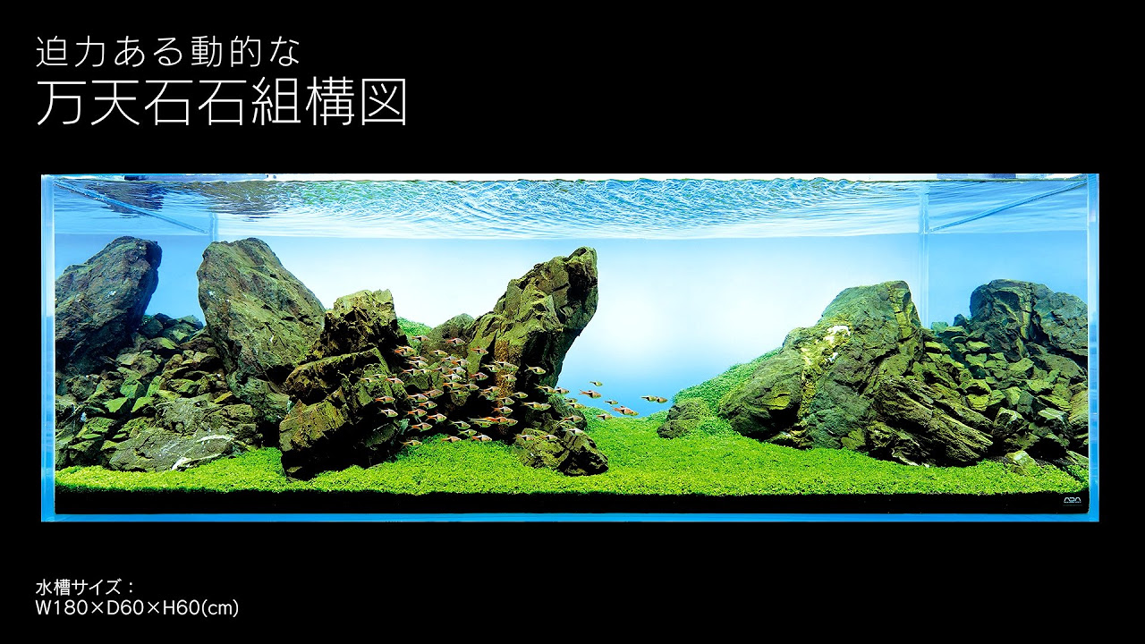 ADAview] 180cm水槽レイアウト 万天石石組構図編 - YouTube