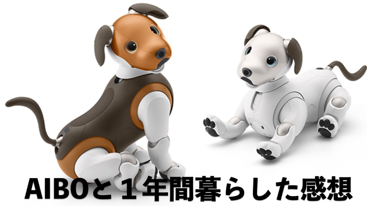 里親募集】SONY aibo アイボ ERS-1000(現在♂） SONY aibo ERS-1000