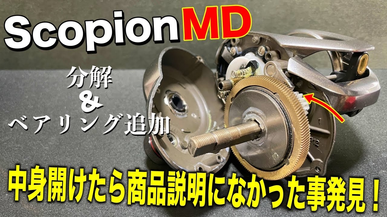 I took the Scorpion MD apart on the day I bought it and the