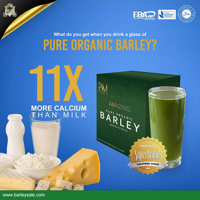 Original Barley 3 BOXES - BARLEY SALE