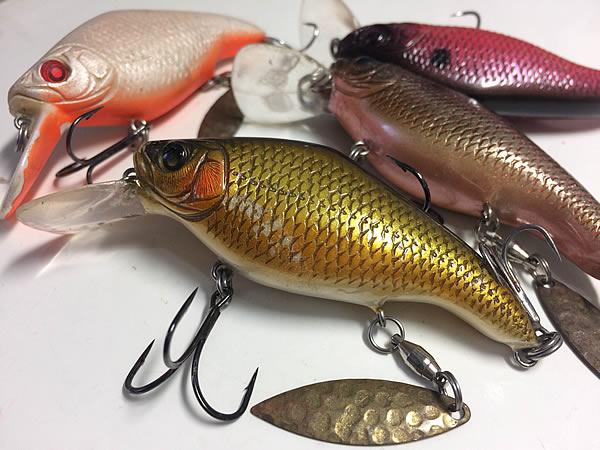 ブレードクランクM5R（インプレ）冬から春先の低水温期に向く特徴 | 雄