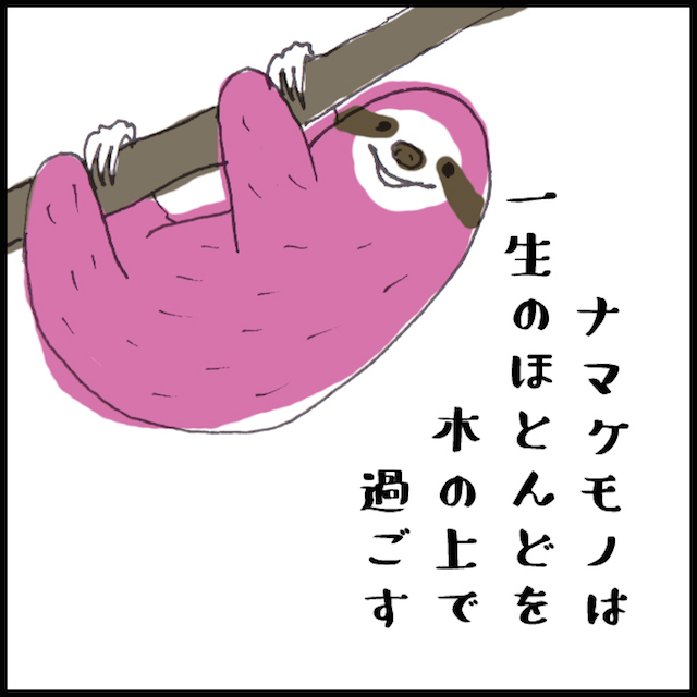 ナマケモノ漫画【4】ボーッと生きてるわけじゃない | イエモネ