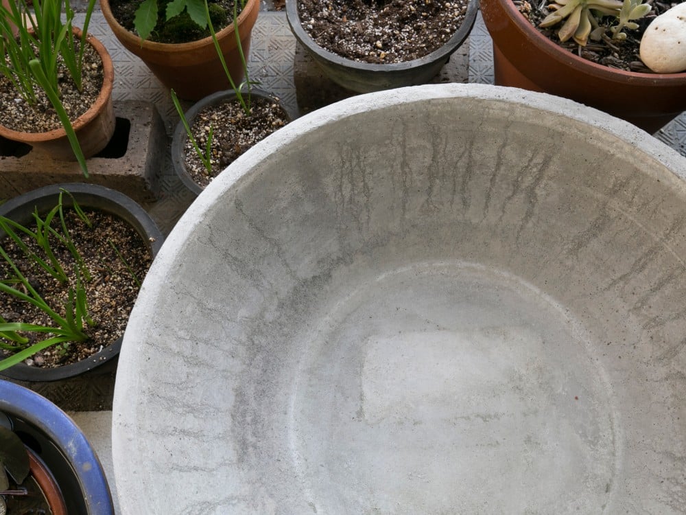 土佐錦用のモルタルの鉢をスイレンの水鉢に」 - kanayon.mさんの三卯