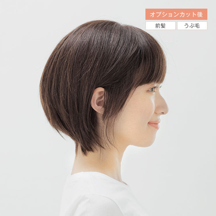 REMY人毛100%シルクトップ マッシュショート フルウィッグ｜リネアストリア