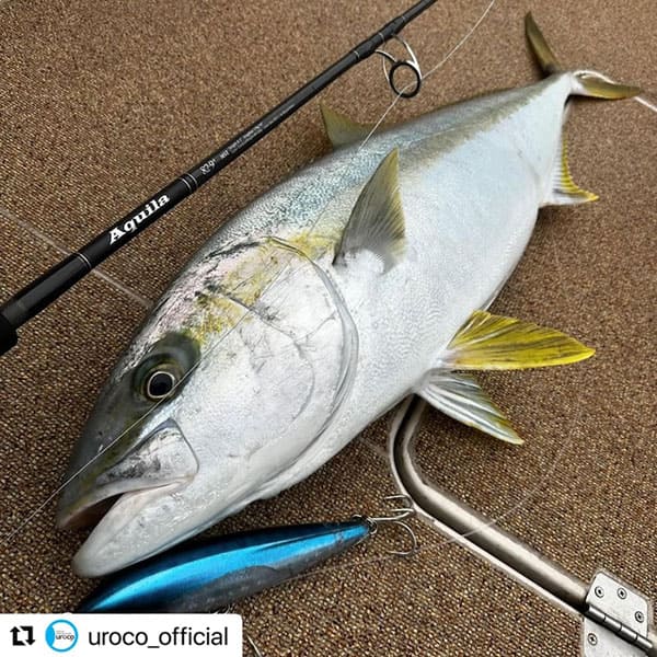 UROCO ウロコペンシル 190F(フルタングステンウェイトモデル) | ルアー