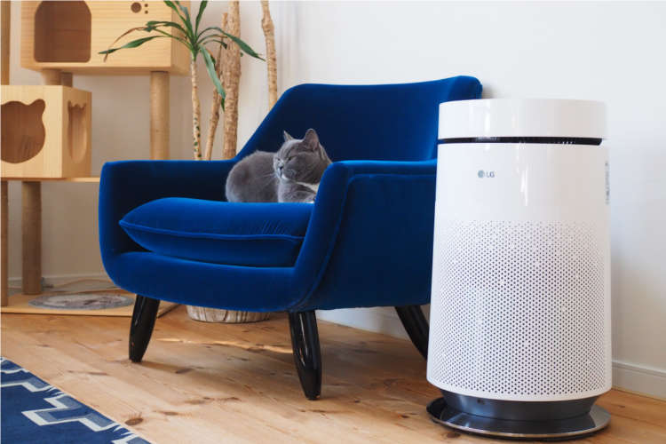 新登場の【LG PuriCare™ Pet】を試してみたら、飼い主さんのお悩みが