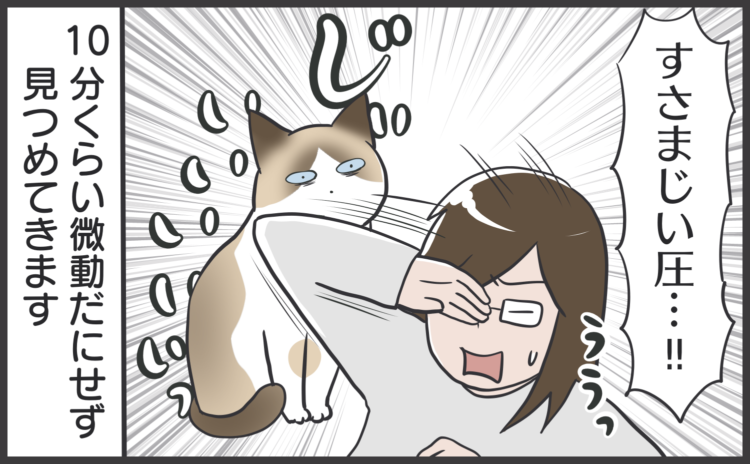 まんが】第57話：【熱い視線】まんが描き下ろし連載♪ のべつまくなし