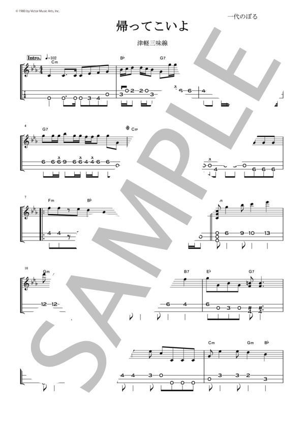 三味線中棹カスタム(ひよん帰ってこいよ。仕様 人生裏返し改め) ケース