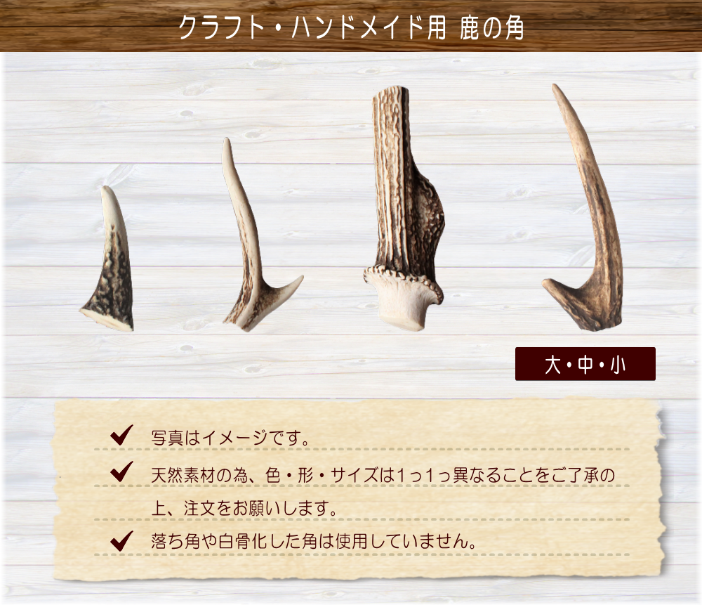 九州鹿の角 小 クラフト・ハンドメイド用 | 霧島ジビエ＜公式＞
