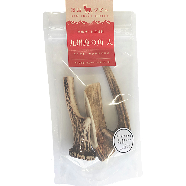 九州鹿の角 中 クラフト・ハンドメイド用 | 霧島ジビエ＜公式＞