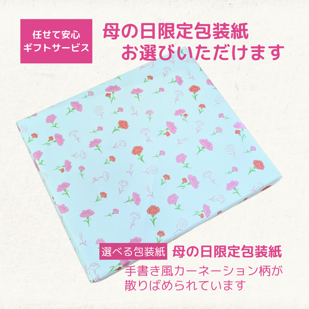 かごしま知覧茶「鹿児島特上煎茶」100g×3袋ギフトセット 深蒸し煎茶