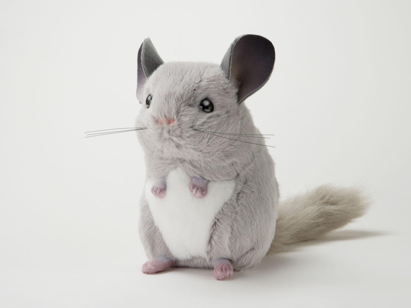 吉徳 チンチラのぬいぐるみ（グレー） | 生物園オンラインショップ