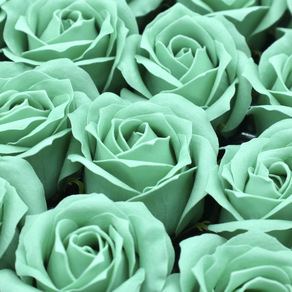 プリンセスバラS-BL4 ミントブルー(15輪入りor25輪入り） | QJ shop