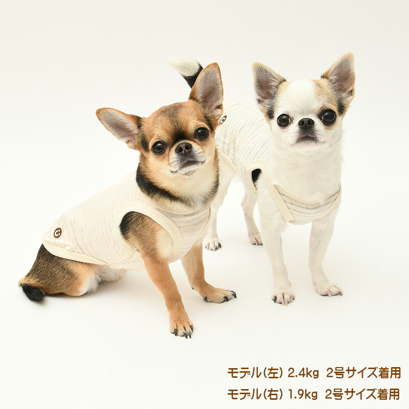 楽天市場】犬の服 ボタニカル接結ドット背中開きタンクトップ 1-9号