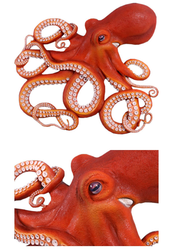 楽天市場】FRPアニマルオブジェ 壁掛け用 巨大なタコ Octopus Wall