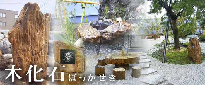 木化石 蹲 049 手水鉢 水鉢 銘石 珪化木 幅170cm 希少 庭石 景石 販売