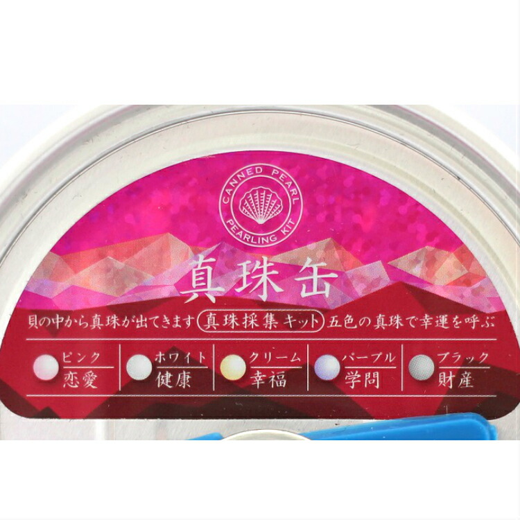 楽天市場】真珠缶 4個セット 真珠 真珠缶詰 真珠採集キット しん