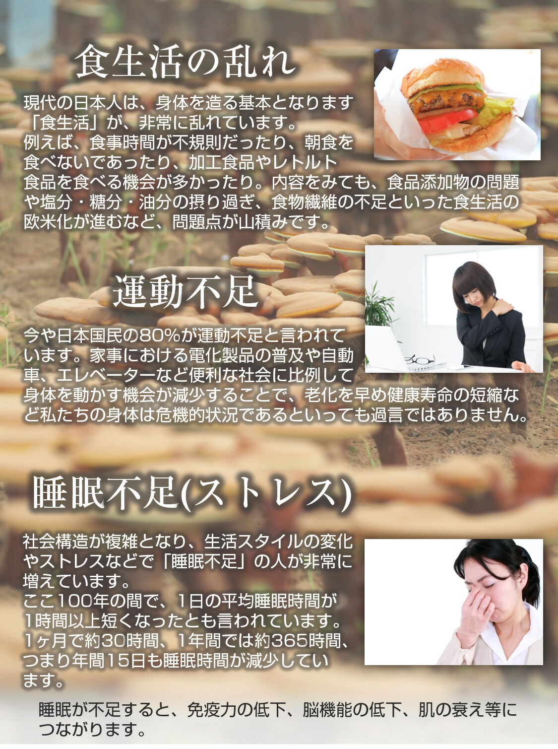 楽天市場】楊貴芝Premo カプセル粋 1箱100カプセル入り 霊芝 レイシ