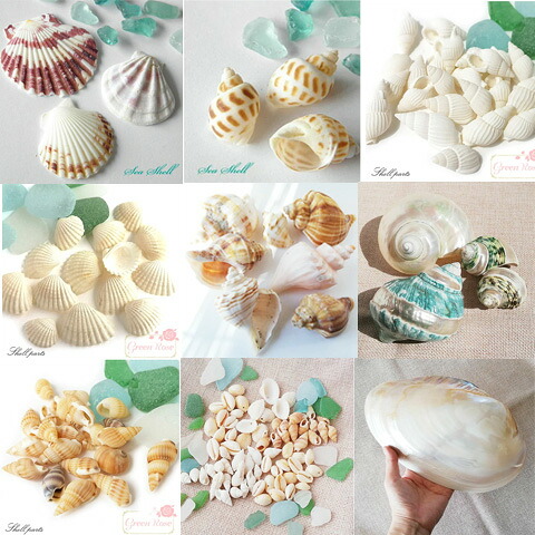 青と白の貝殻モビール 2ケセット 青と白の貝殻モビール 2ケセット