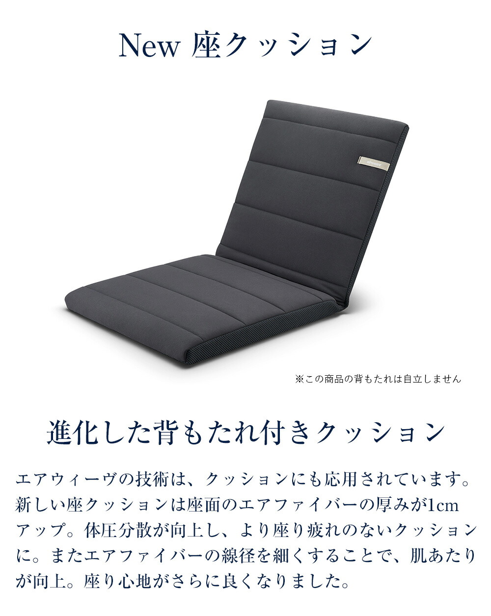 楽天市場】【P5倍☆2/20(金)20時〜4時間限定】【公式】エアウィーヴ 座