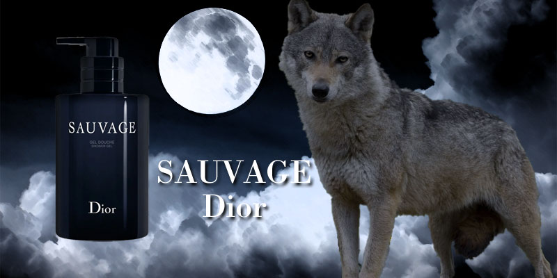 楽天市場】クリスチャンディオール ソヴァージュ エリクシール 60ml