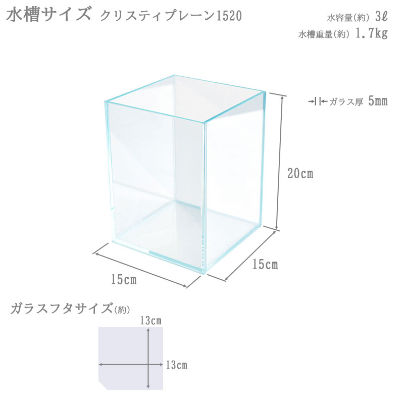 楽天市場】水槽 15cm ガラス水槽【15×15×20cm 3L】クリスティプレーン