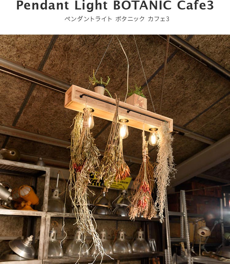 楽天市場】BOTANIC Cafe3 ボタニック カフェ3【ペンダントライト 電球