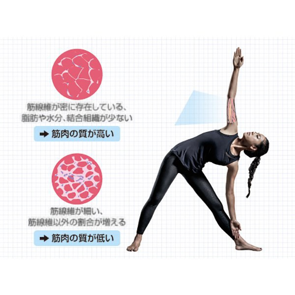 楽天ビック｜TANITA｜タニタ 体組成計 innerScan DUAL(インナー