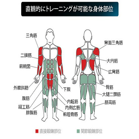 楽天ビック｜レブルプロ｜Revvll pro Revvll pro レブルプロ ロープ