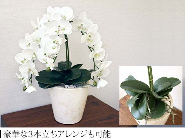 楽天市場】胡蝶蘭(ホワイト)(お花1本＆リーフ1株)セット 【 造花