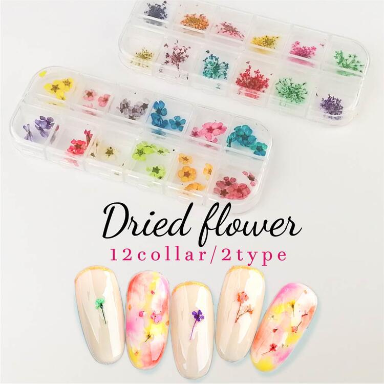 楽天市場】ネイル 押し花 パーツ 花 12色セット ドライフラワー 収納