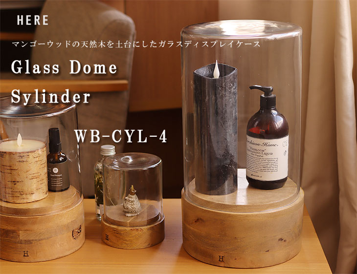 楽天市場】【ポイント10倍】ガラスドーム シリンダー4【ディスプレイ
