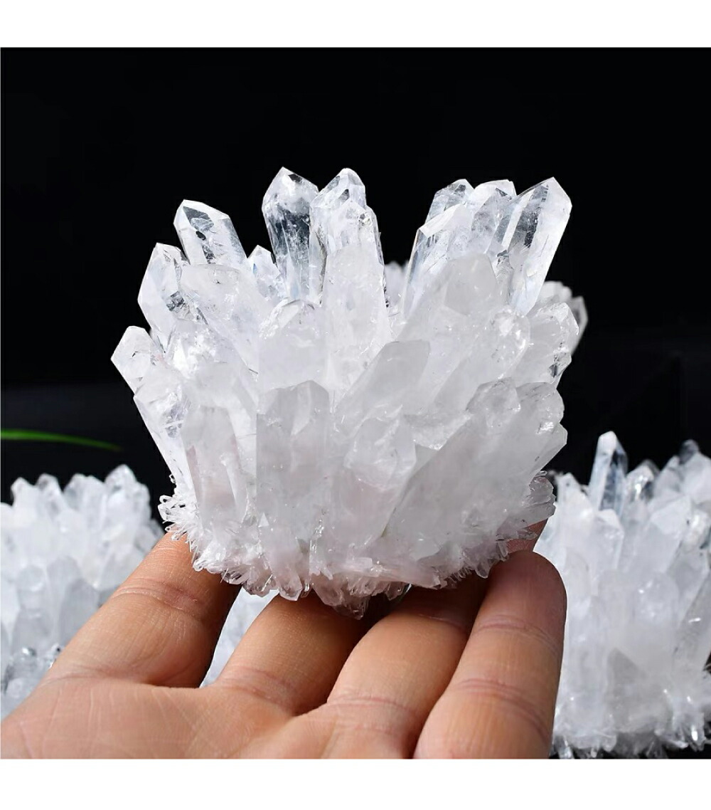 楽天市場】＼まもなく終了！最大20%OFF！／ 【再入荷・早い者勝ち