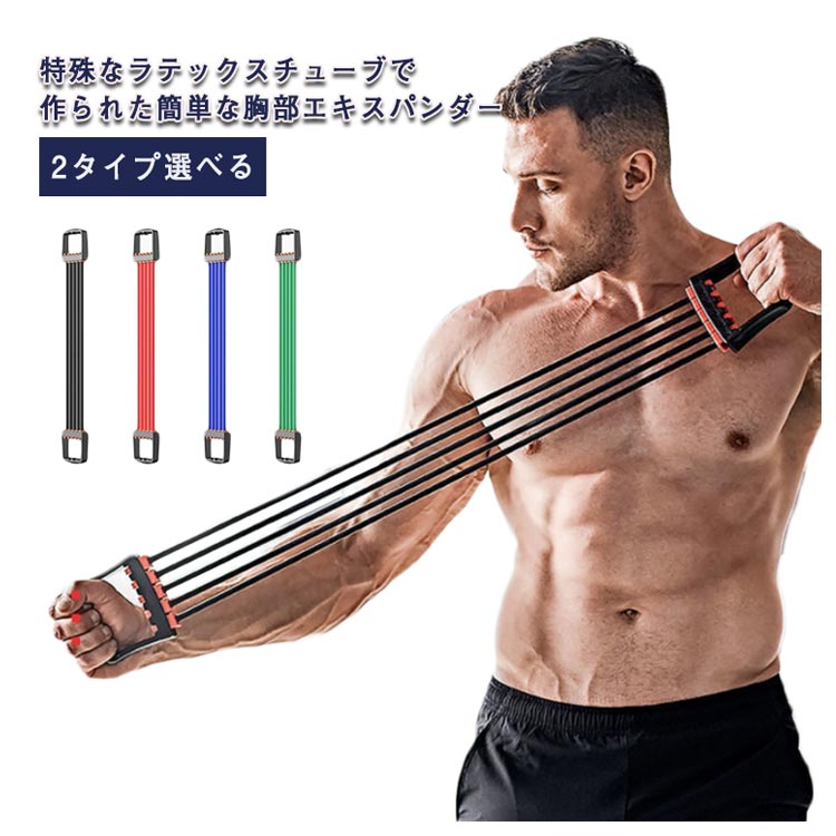 楽天市場】2タイプ選べる チューブ 強化 筋トレーニング 筋トレ 背筋