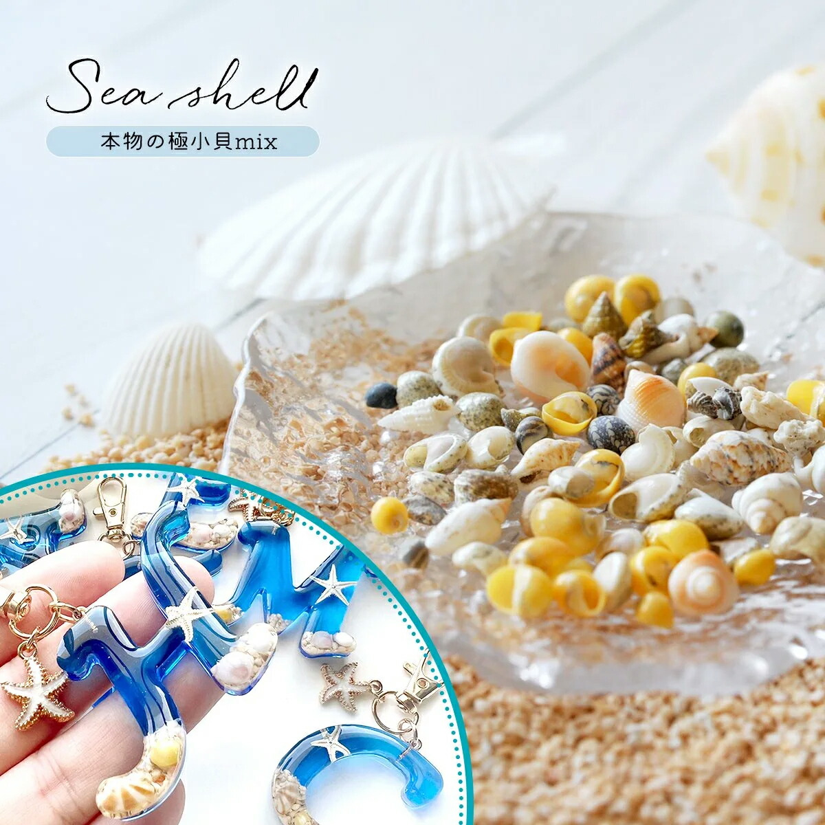 楽天市場】【自然素材】10g 本物の小さな貝殻ミックス 極小 レジン封入