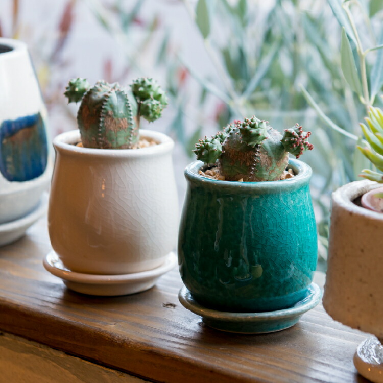 楽天市場】植木鉢 おしゃれ 陶器鉢 ステラポット MM003-160 5号(16cm