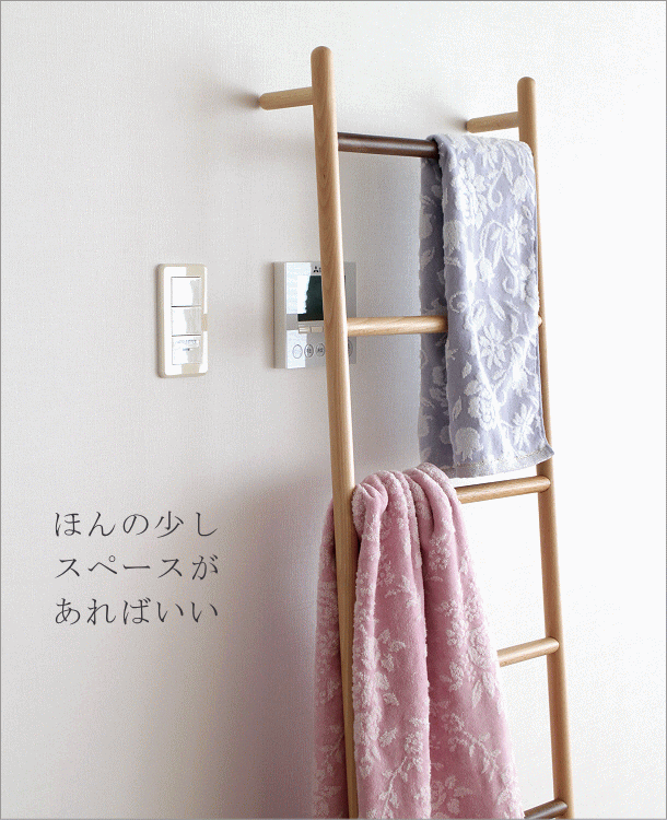 古い木製 ウォールナット×アイアン ハンガーラック ラダーハンガー