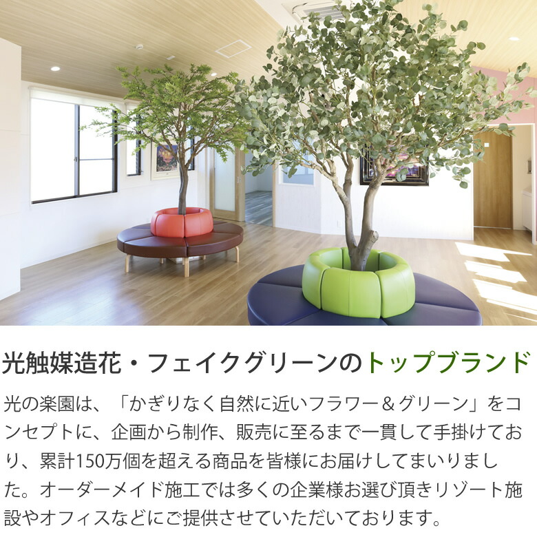 楽天市場】光触媒 人工観葉植物光の楽園 幸福の木 高さ1.1mフェイク