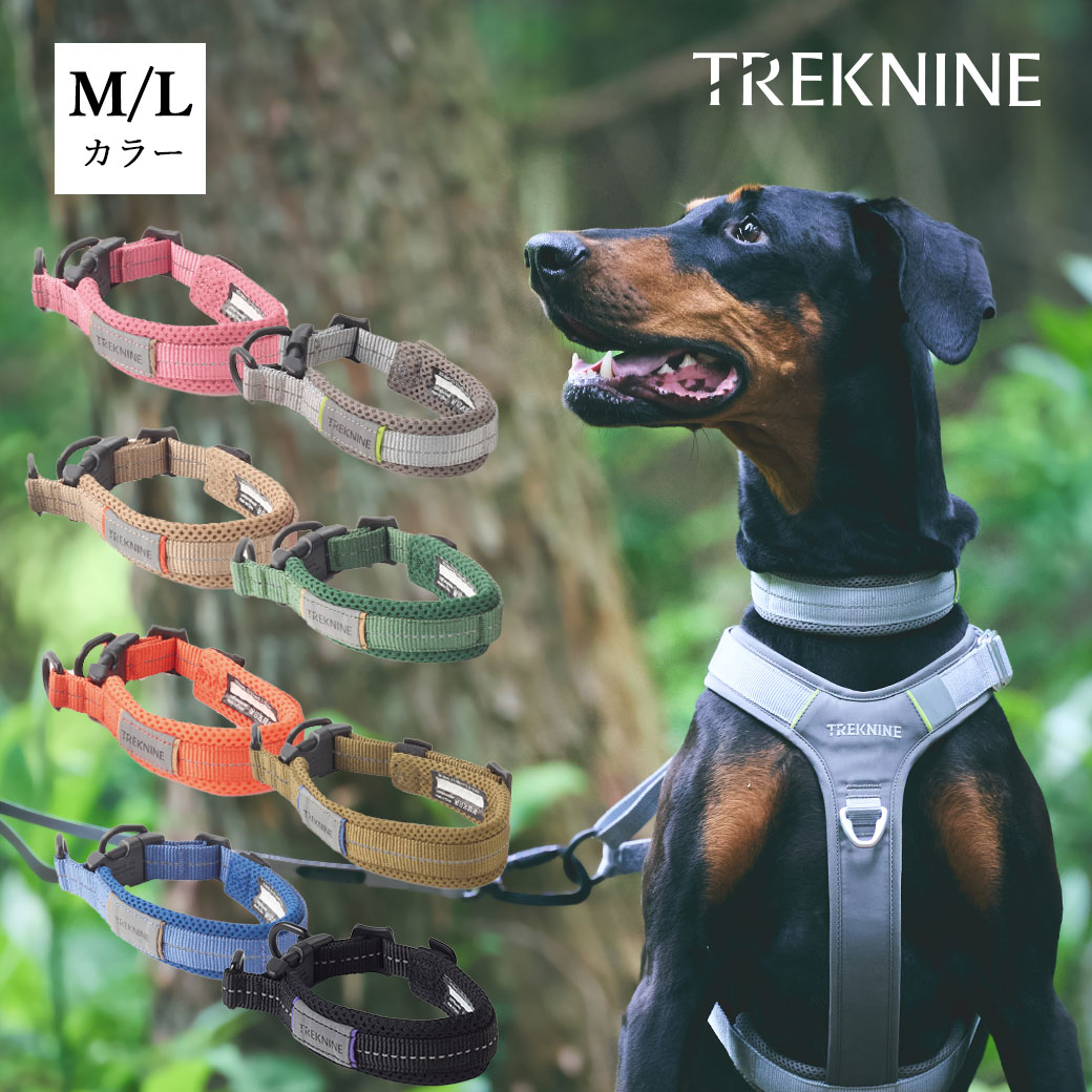 卸売】iDog TREKNINE|カラー|ダブルリングメッシュパッド M/Lサイズ