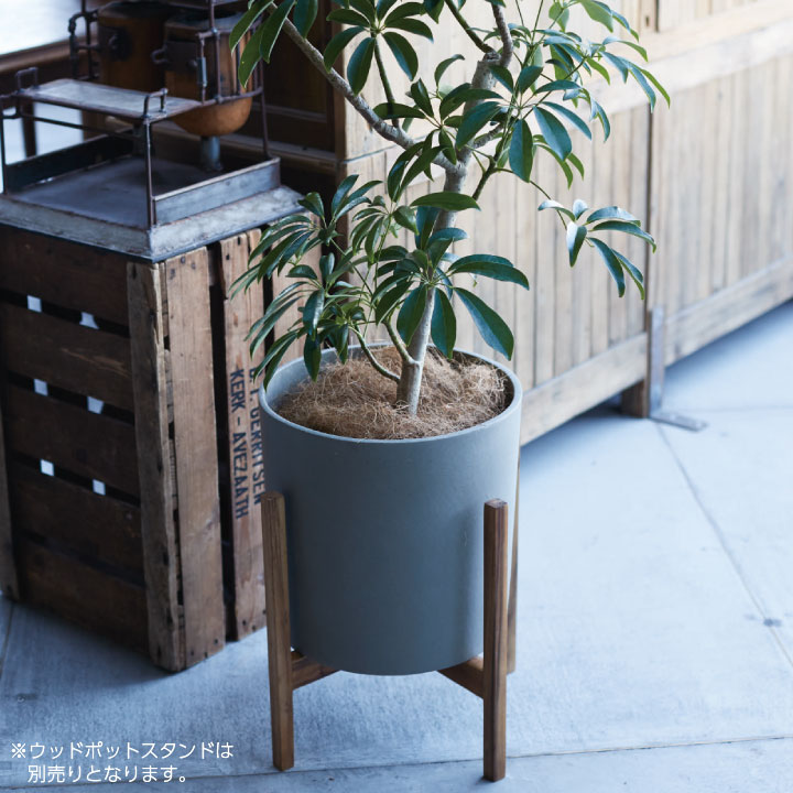 楽天市場】おしゃれ 植木鉢 「プラニッタナ（Planeterna） シリンダー