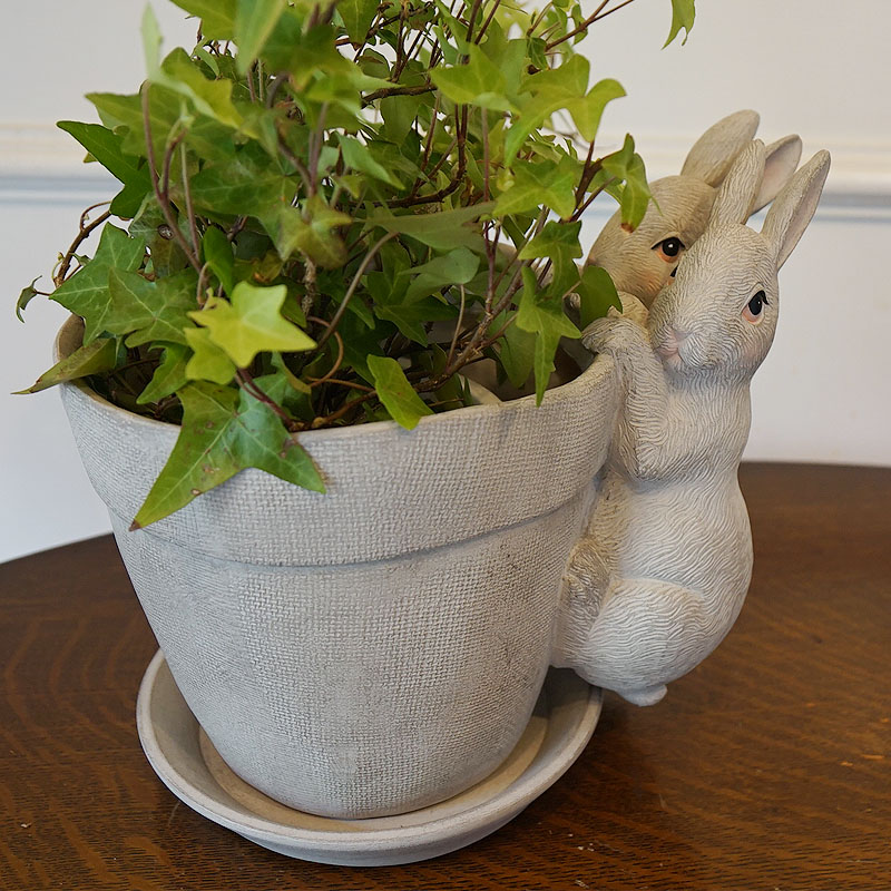 楽天市場】うさぎ雑貨 プランター ソーサー付 2匹のぶら下がりラビット