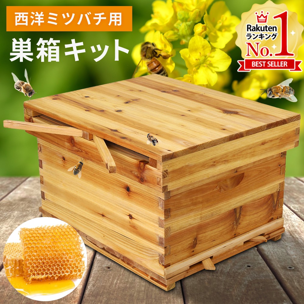 楽天市場】【LINE登録ですぐ使えるクーポン配布中】 巣箱 ミツバチ