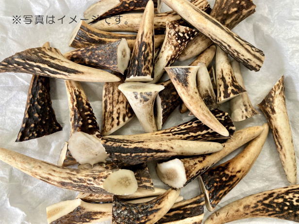 楽天市場】鹿の角 パーツ 小 約5cm前後 3本入 アクセサリー