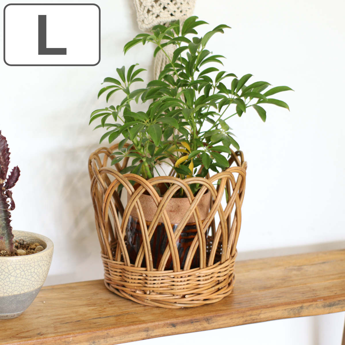 楽天市場】鉢カバー アラログ ポットカバーL （ かご カゴ 収納