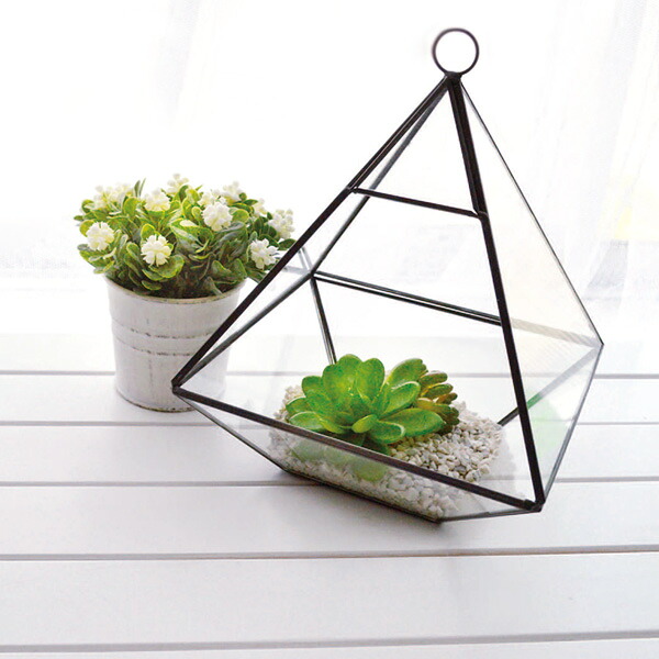 楽天市場】テラリウム トライアングル W ガラス ディスプレイケース