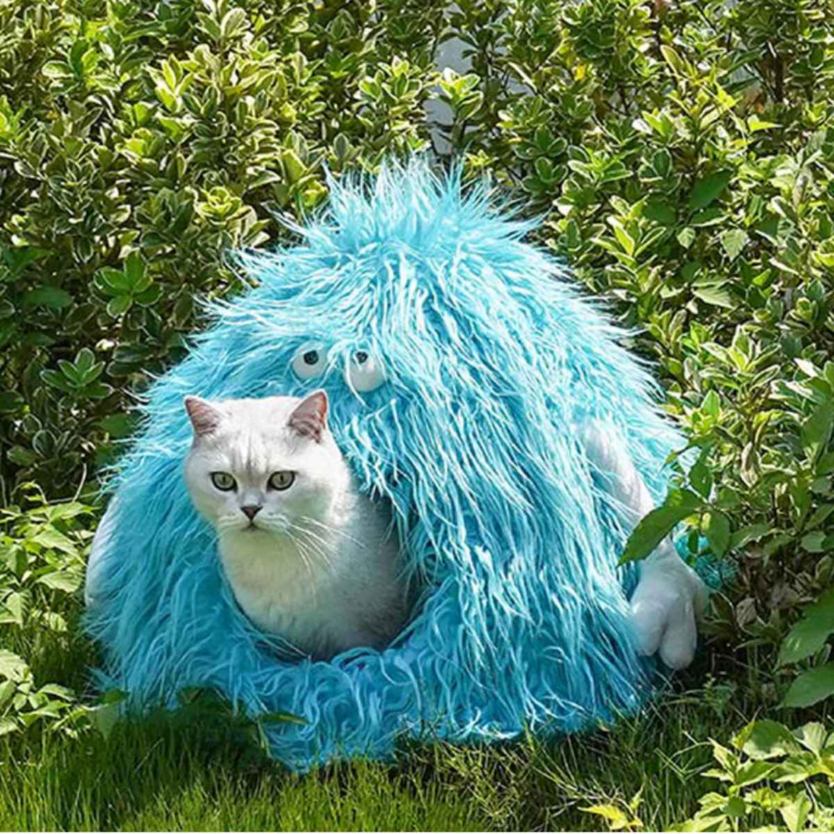 楽天市場】猫ハウス Monster Pet Bed B ZEZE ドーム型 （ ペットハウス