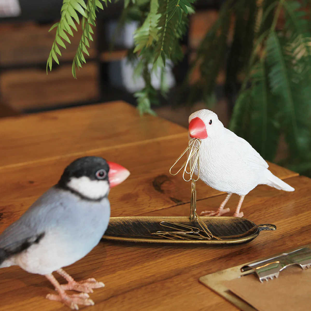 楽天市場】オブジェ BIRDIE BILL 文鳥 マグネット付き （ 置き物 鳥