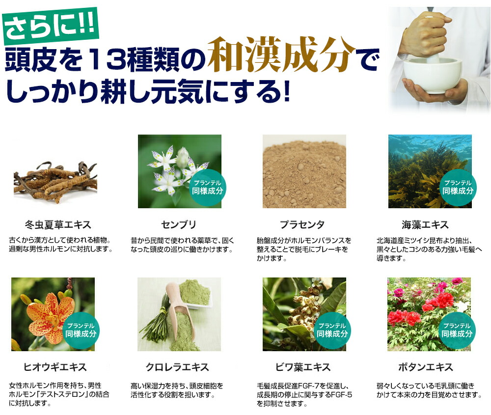 楽天市場】＼期間限定ポイント10倍／【公式】シャンプー 300ml 1本/3本